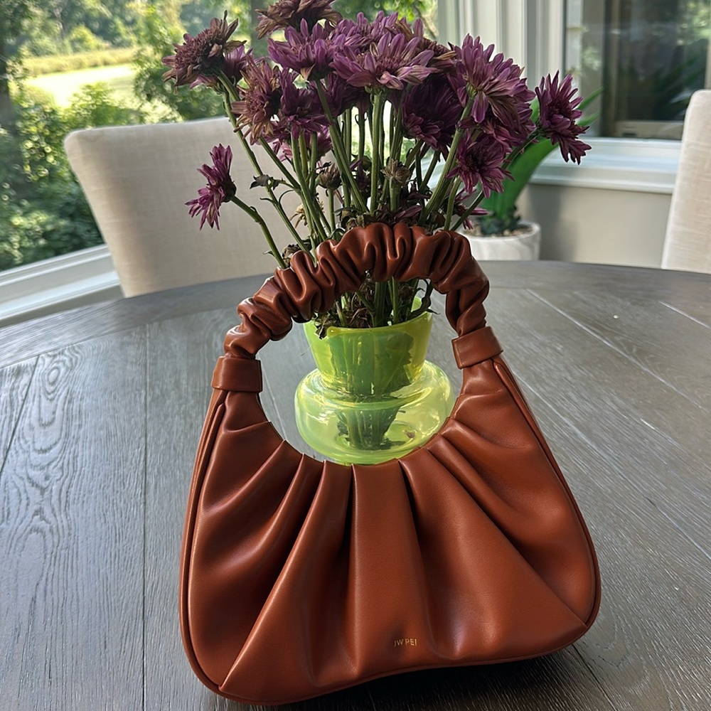 BRAND NEW JW PEI Gabbi handbag.
